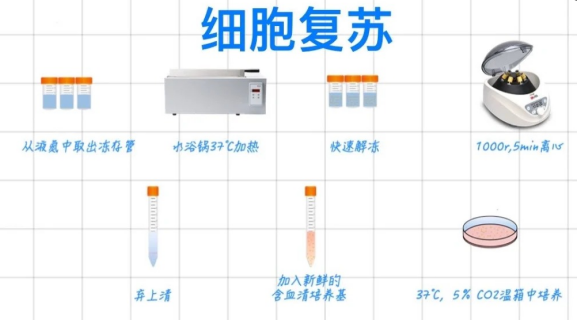 QQ图片20240825202220.png