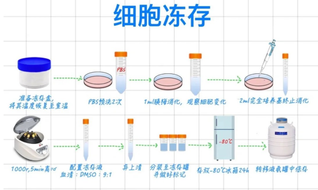 QQ图片20240825205039.png