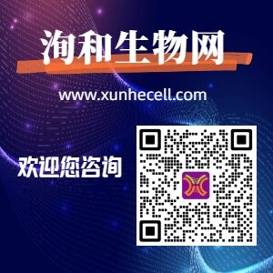 通用图科技紫.jpg