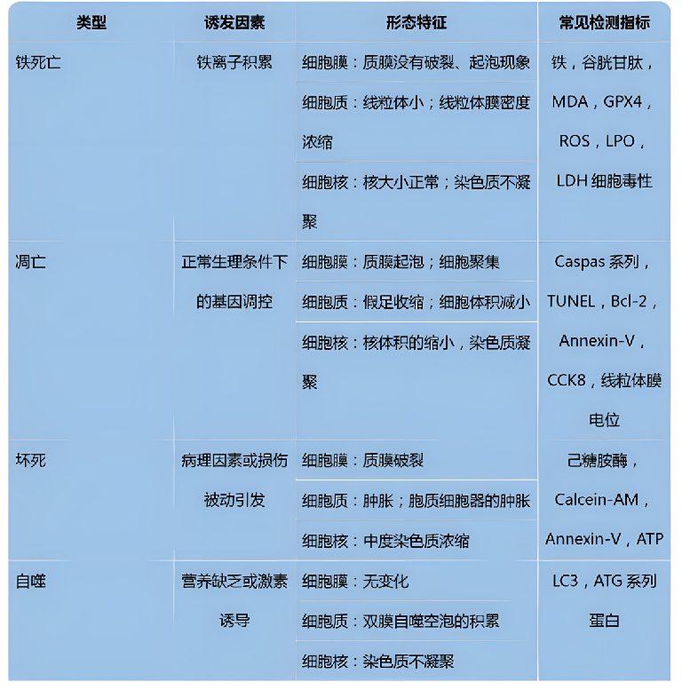 1721097826945994.png